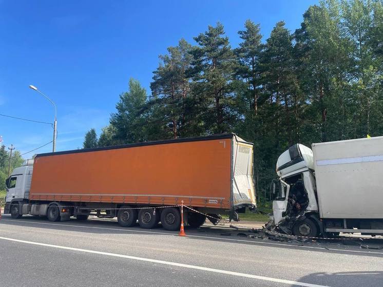 Смертельное столкновение в Новгородской области