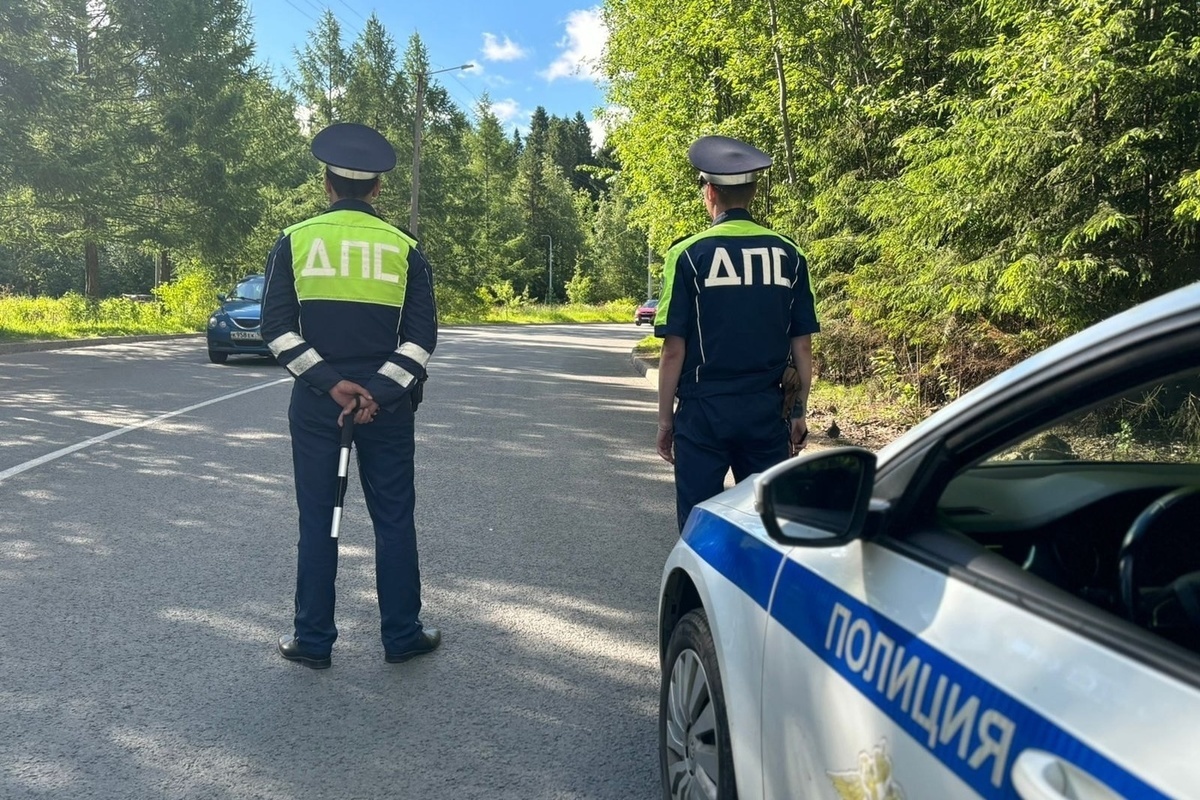 Автоинспекторы вышли в рейд на дорогах Петрозаводска: кого проверяют - МК  Карелия