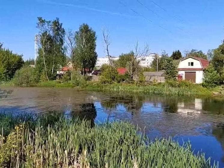 Противопожарный водоем в Городце завалили горами мусора