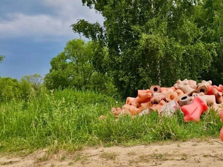 Кладбище манекенов обнаружили жители деревни под Одинцово