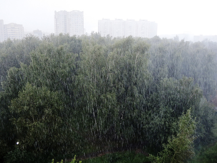 Грозовые ливни вернутся в Подмосковье уже в начале недели