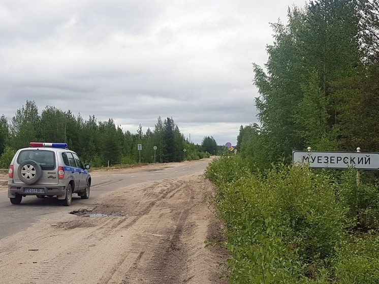 Полиция нашла подростка, избившего и оплевавшего женщину на улице в Карелии