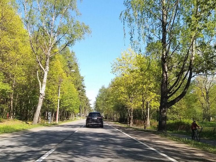 Участки девяти трасс перекроют в Ленобласти 16 июня