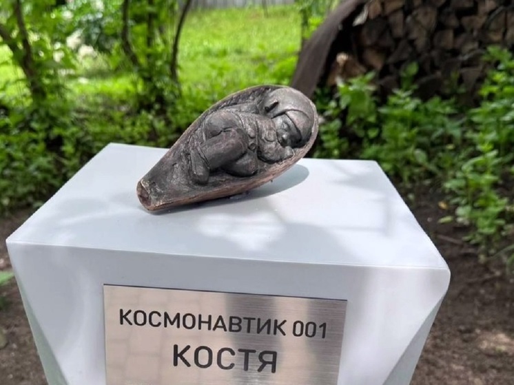 Космонавтика Костю установили в Калуге