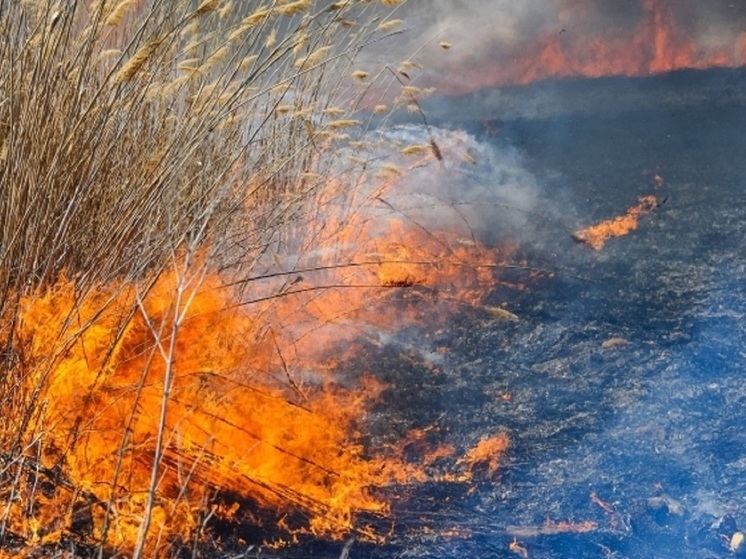 Жителей Волгоградской области предупредили о чрезвычайной пожароопасности