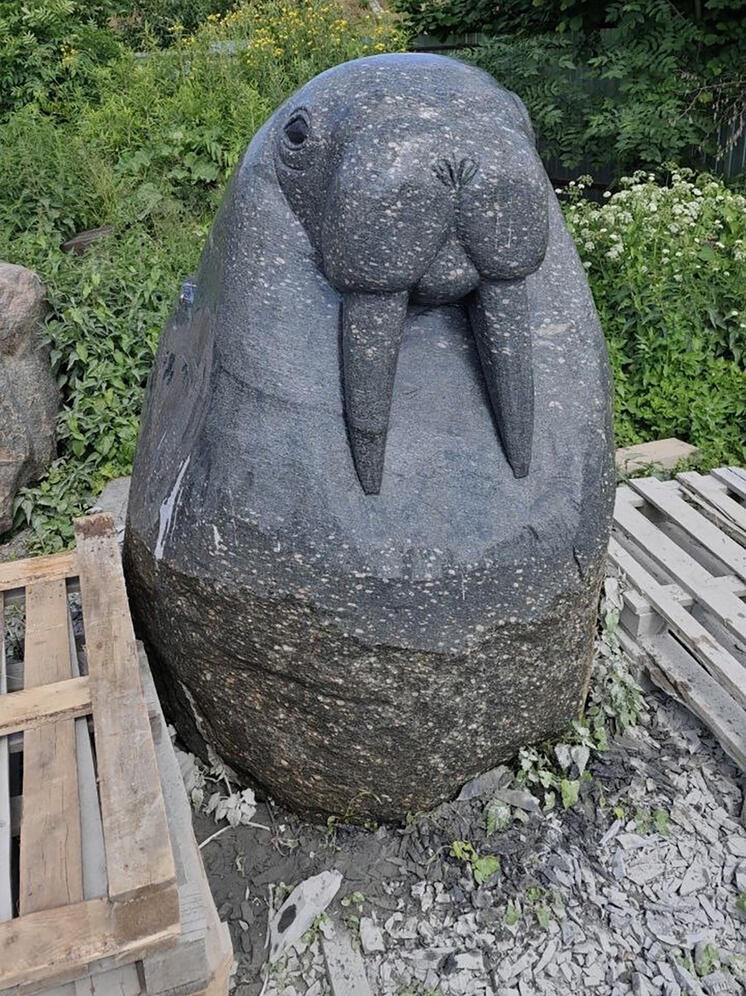 На озере в Калининграде поселится каменный морж