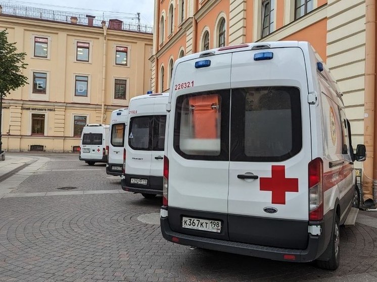В Петербурге четырехлетний мальчик оказался в больнице, «поужинав» батарейками