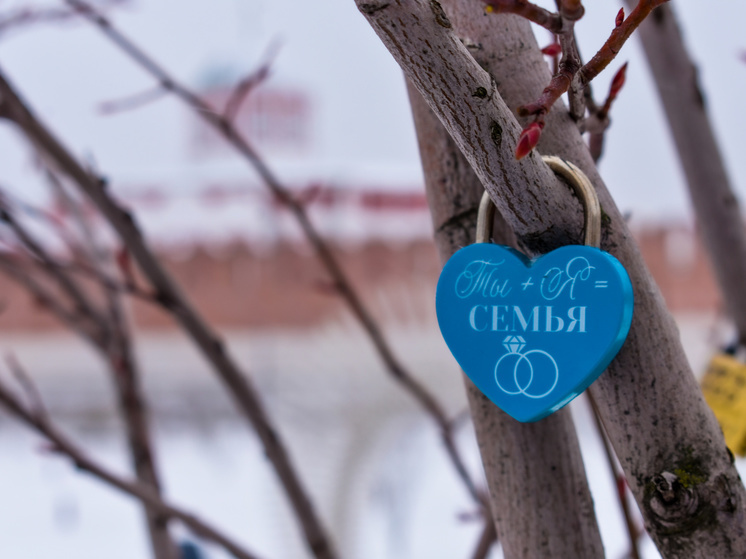 На фестивале «Дикая Мята» в Тульской области поженились 6 пар новобрачных