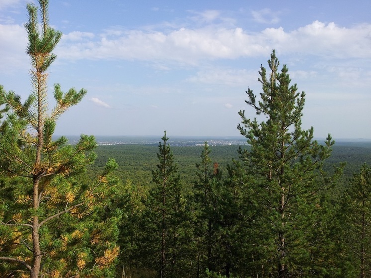 В Свердловской области горит 28 гектаров леса