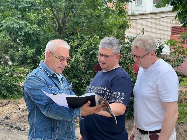 Глава Смоленска проверил ход благоустройства дворовых территорий