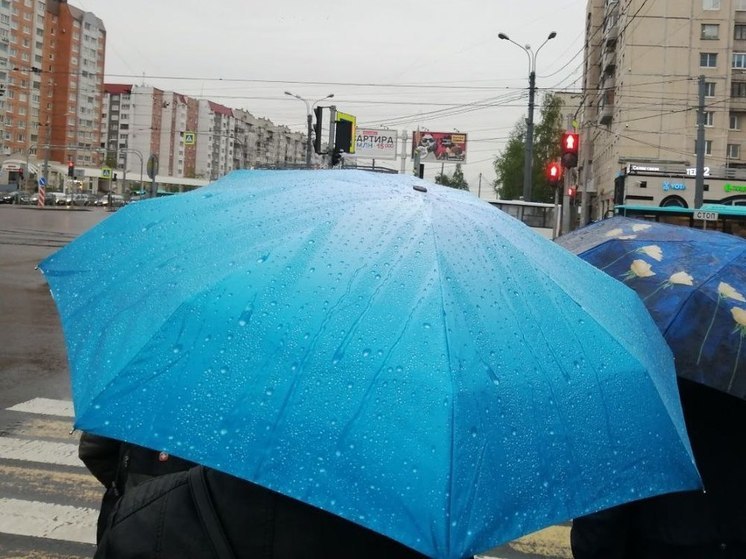 Калининградцев предупредили о грозе в воскресенье