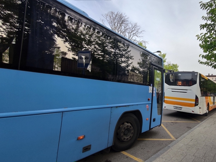 В Калининградской области из «Храброво» в города побережья стал ходить автобус