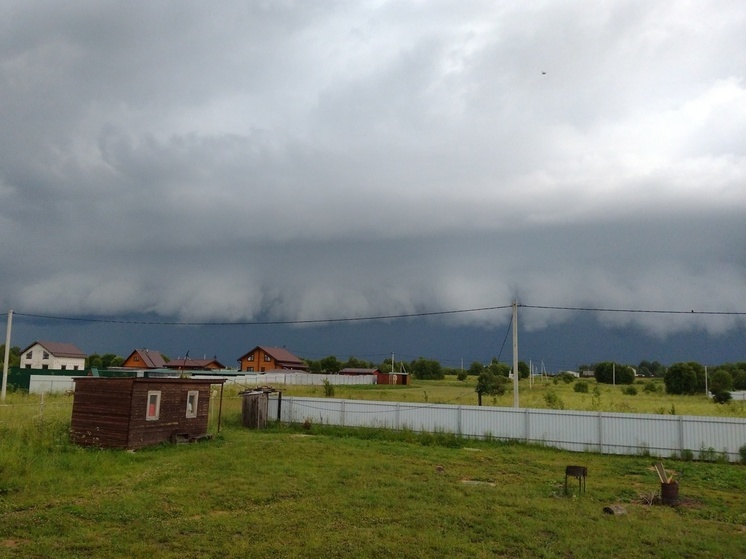 Синоптики 17 июня предсказывают в Смоленске пасмурную погоду