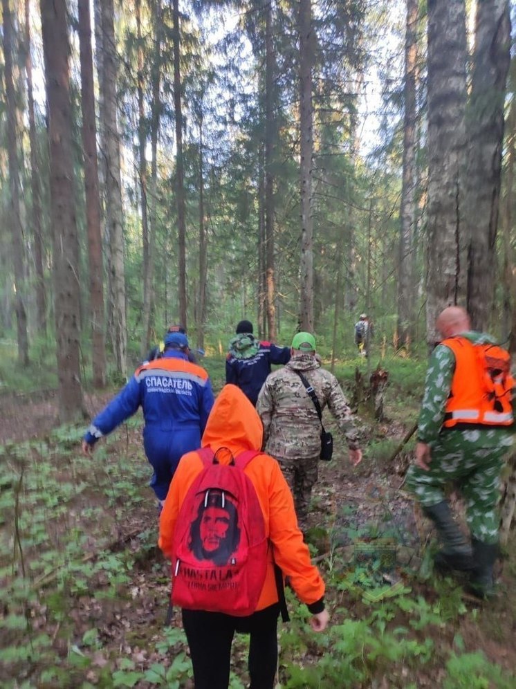 В лесу в Тосненском районе спасатели два дня искали заблудившегося мужчину