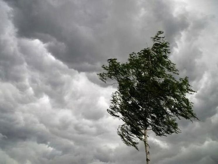 В Омской области объявлено штормовое предупреждение из-за сильного ветра и ливней