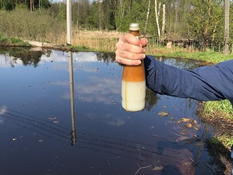 Во Владимирском озере вымирает рыба