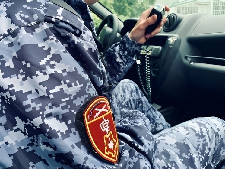Росгвардейцы  прихватили алиментщика