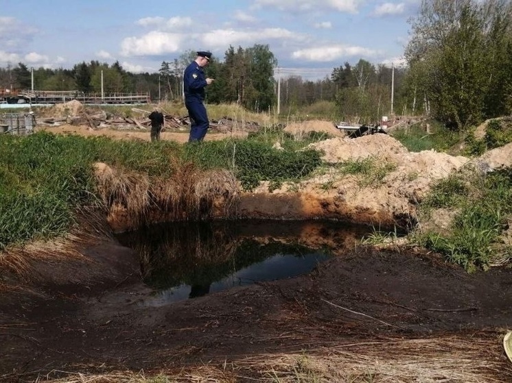 Ковровские прокуроры заинтересовалась гибелью рыбы в Федоровском