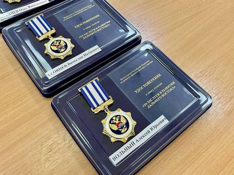 Награды Минвостокразвития вручили силовикам и добровольцу СВО в Забайкалье