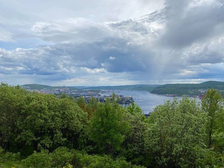 В Мурманске построят колумбарий на городском кладбище