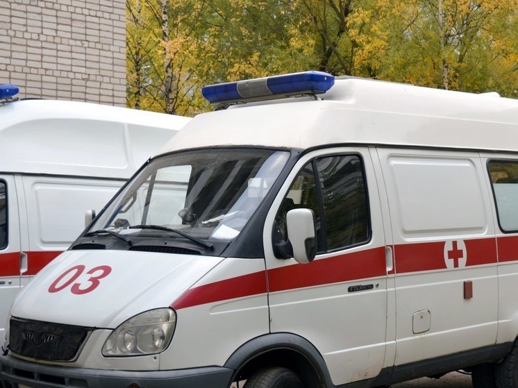 Самая скорая помощь: за минувшую неделю неотложка в Ленобласти спасла около десяти тысяч людей