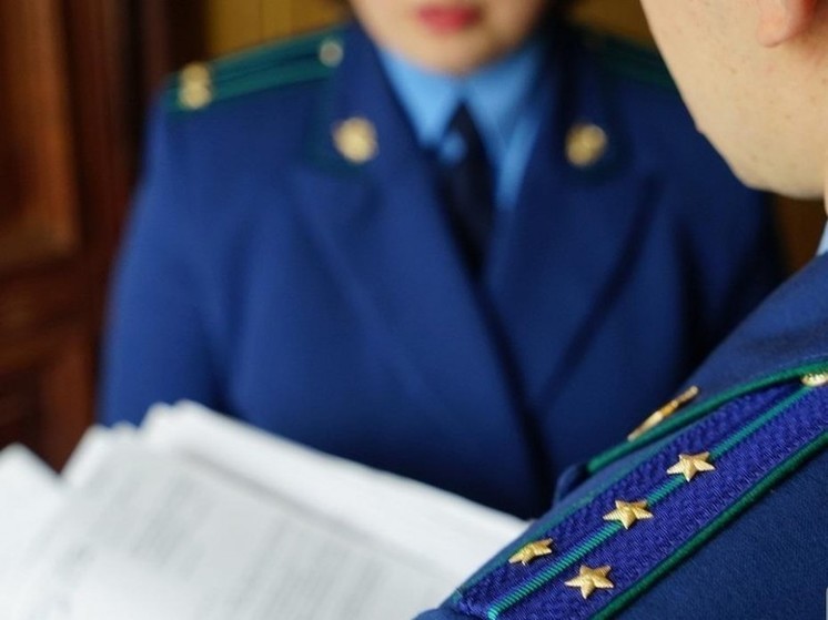 В Калмыкии осудили мужчину, который задолжал ребенку