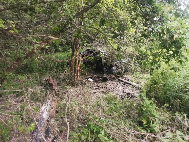 В Агаповском районе обнаружен автомобиль с погибшим водителем