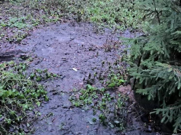 Стекающими в реку в Тверской области заинтересовались СК и прокуратура