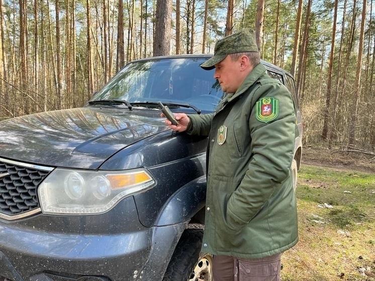 45 человек терялись в лесах Подмосковья с начала 2024 года