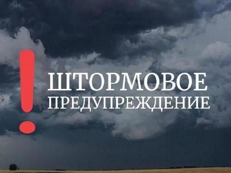 В Ярославской области объявили новое штормовое предупреждение