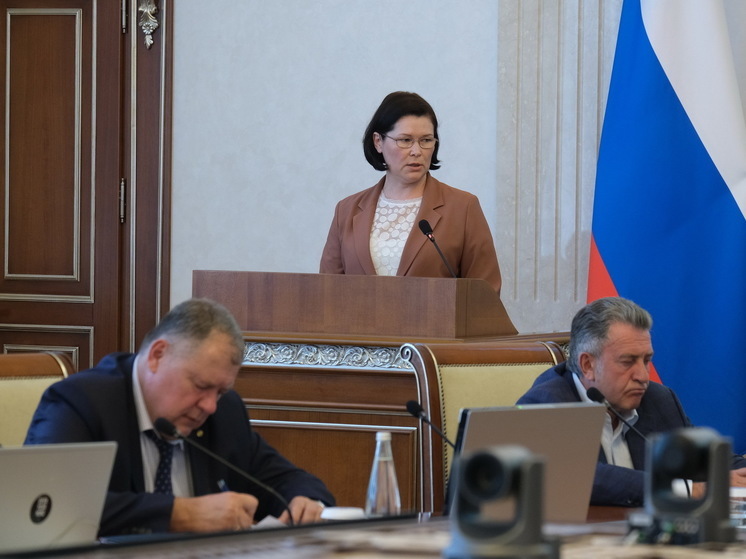 В правительстве Новосибирской области одобрили новые поправки в бюджет