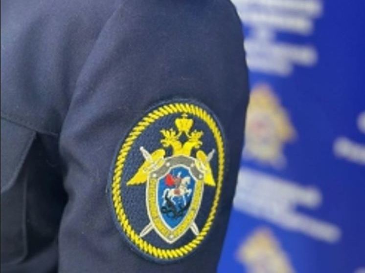Жители Малого Верево пожаловались на мигрантов Бастрыкину