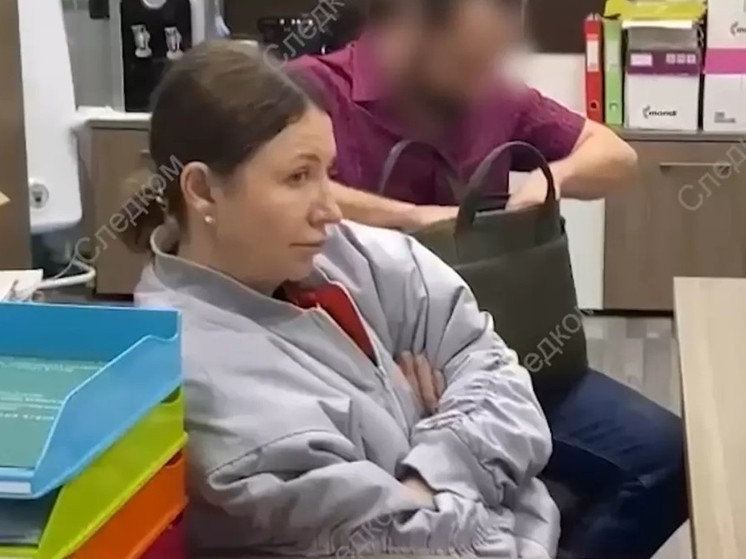 ФНС: для ухода от налогов блогер Блиновская использовала 18 организаций и 3 ИП