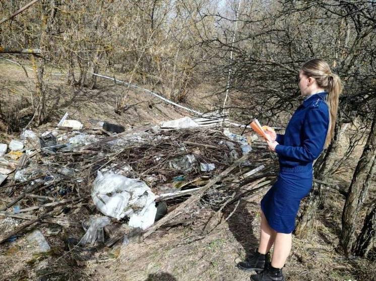 Курская прокуратура добивается ликвидации 40 свалок на территории лесов