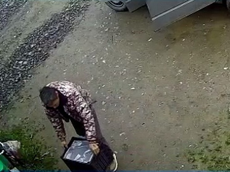 Сахалинец подбросил в приют «Пес и кот» «замурованных» в ящик 4 котят