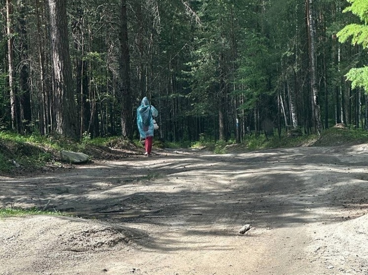 Поисковики случайно нашли пропавшую на Чертовом городище жительницу Новосибирска