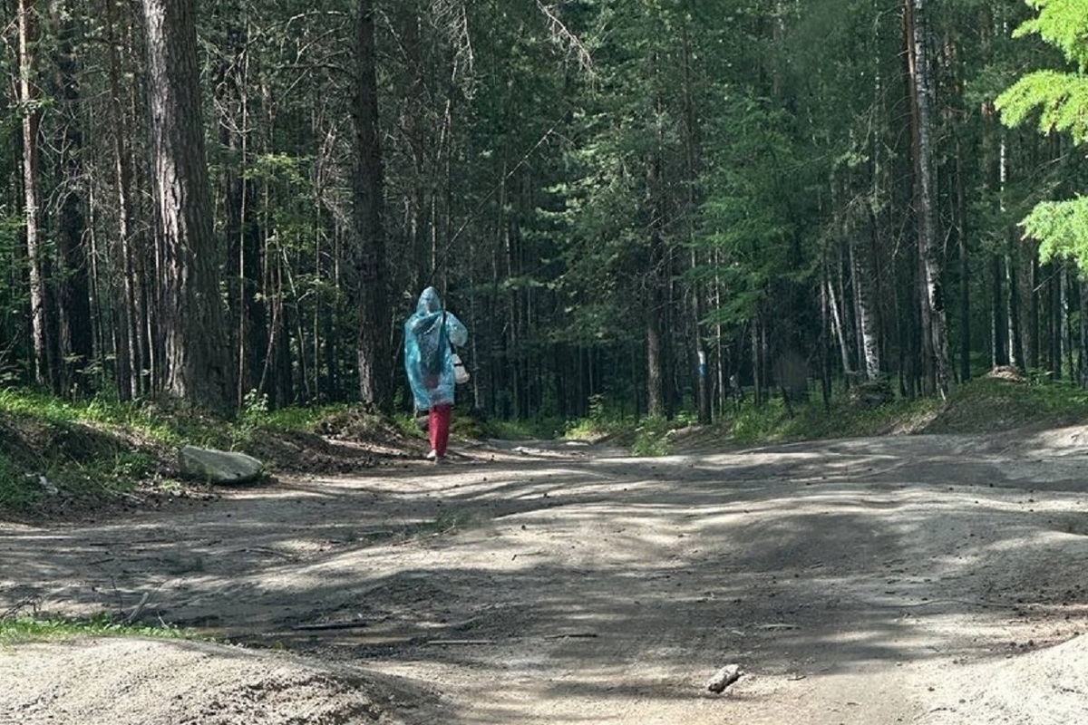 Поисковики случайно нашли пропавшую на Чертовом городище жительницу  Новосибирска - МК Екатеринбург