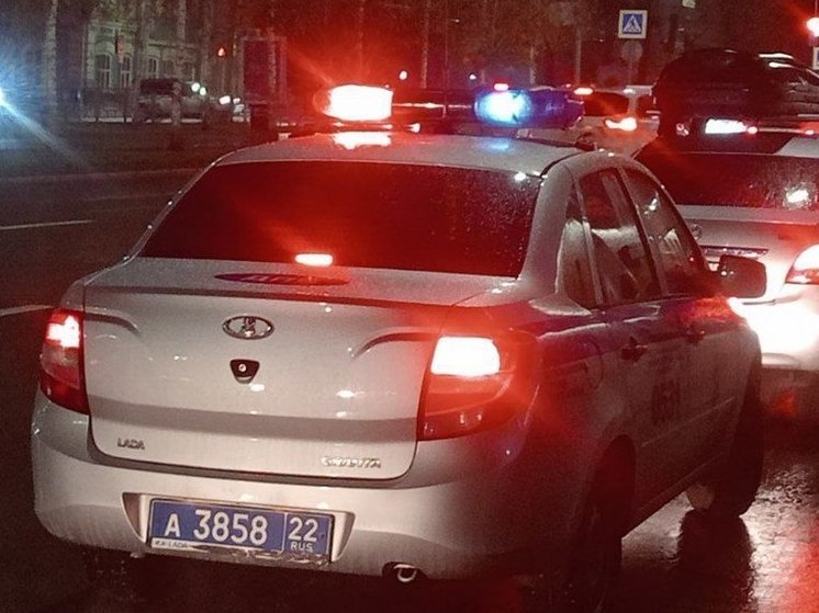 В ДТП с лосем на трассе Павловск - Барнаул пострадал водитель автомобиля ДПС