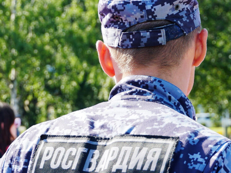 Семечки, пиво и молочный коктейль стали добычей магазинных похитителей в Карелии