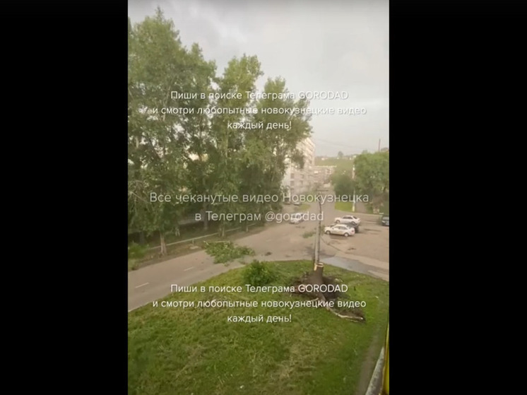 В Новокузнецке ветер повалил ветви деревьев