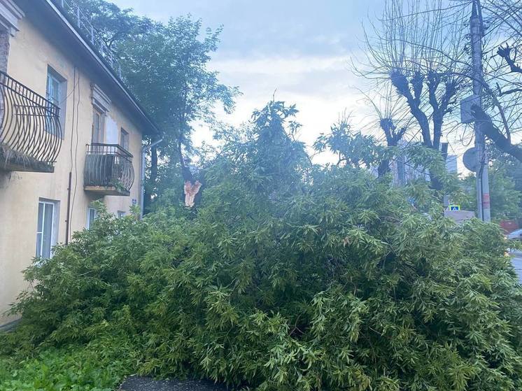 МЧС: В ближайшие часы в Рязанской области ожидаются ливни с грозами