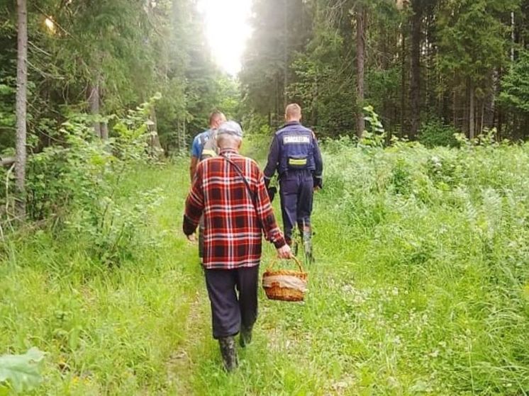 Грибник из Щелкова зашел в лес на разведку и уже не смог выбраться