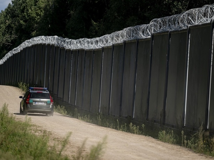 Польские фермеры разливают у границы свиной навоз, чтобы «отпугнуть мигрантов-мусульман»