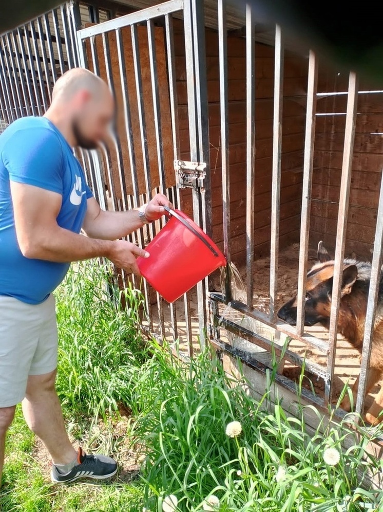 В Тверской области осужденные помогли бездомным животным