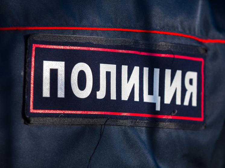 В Челябинске оскорбивший сотрудницу полиции мигрант извинился на камеру