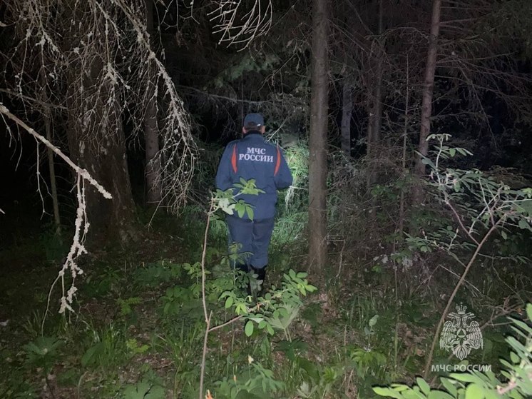 Найденную в лесу 10-летнюю девочку госпитализировали в состоянии средней тяжести