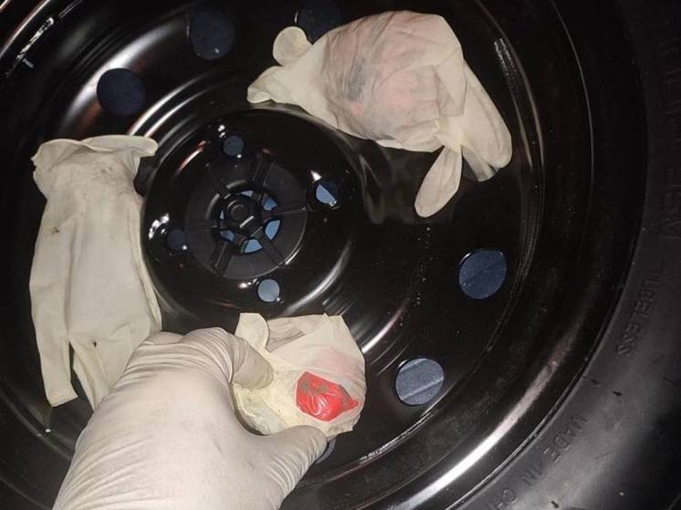 В Пензенской области поймали наркокурьера с большой партией запрещенных веществ