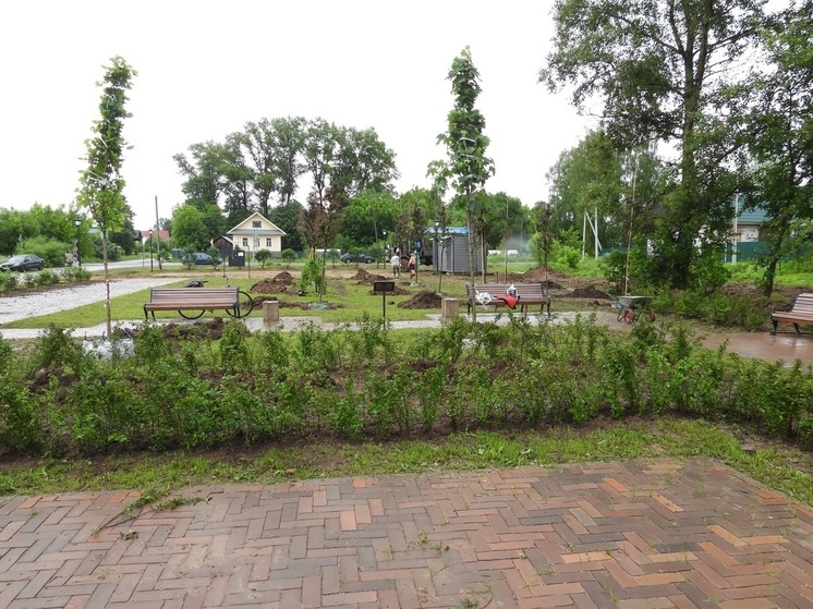 В Калязине Тверской области завершили озеленение сквера: высажено больше тысячи растений