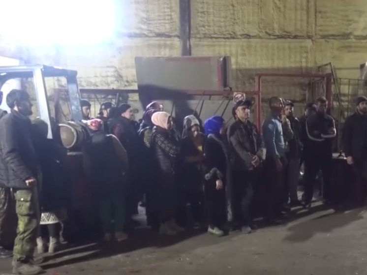 Свыше 5 тысяч миграционных нарушений выявили в Подмосковье