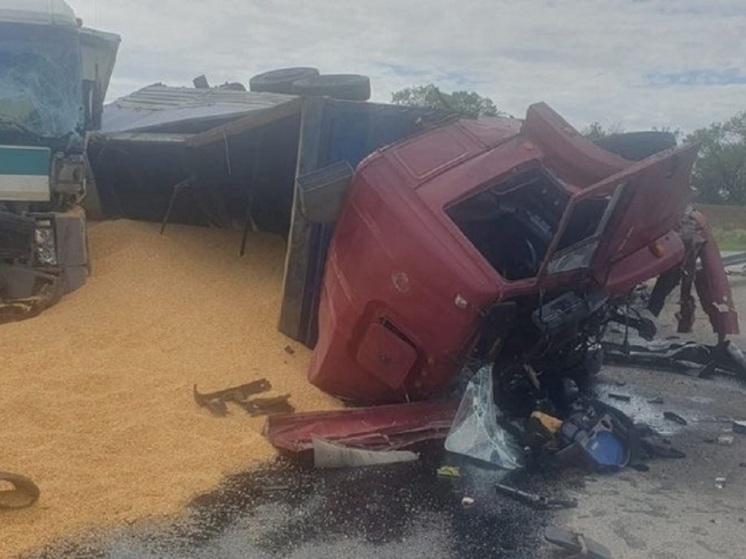  КамАЗ, полный зерна, столкнулся с тягачом на трассе в Волгоградской области